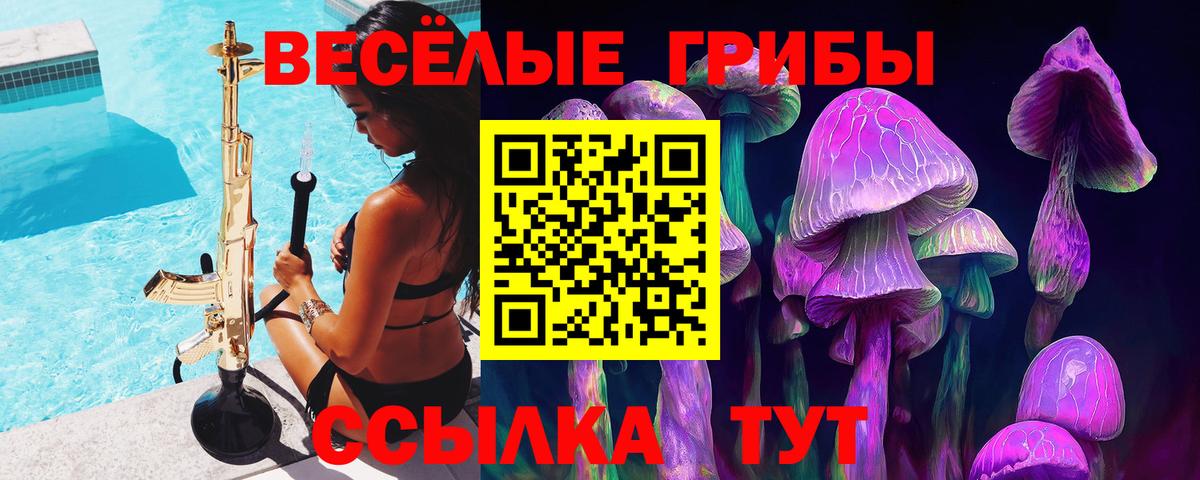 Галлюциногенные грибы прущие грибы Гудермес